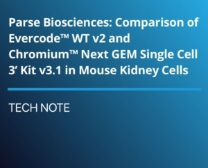 Tech Note: Sequencing Kidney and Skin Cells: Leveraging the Singulator™ 100 and Parse Biosciences’ EvercodeTM Whole Transcriptome v2