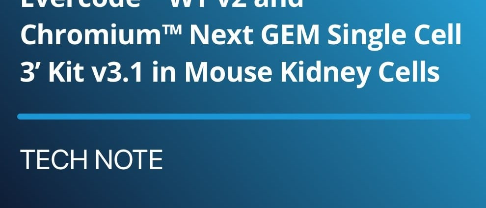 Tech Note: Parse Biosciences Comparison of EvercodeTM WT v2 and ChromiumTM Next GEM Single Cell 3’ Kit v3.1 in Mouse Kidney Cells